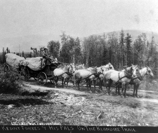 L.C. Lane and Co. Freight Teams Kenny Forbes and his Pals on the Klondike Trail