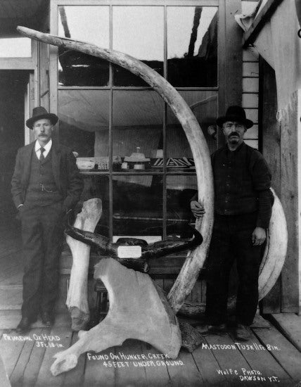 Found on Hunker Creek, c1915.