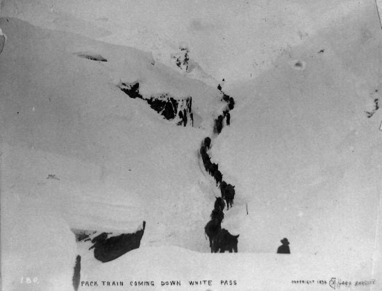 Pack Train Coming Down White Pass, 1898