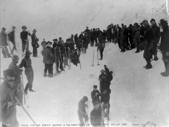 Digging for the Bodies Buried in the Snow-Slide on Chilkoot Pass, April 3, 1898.