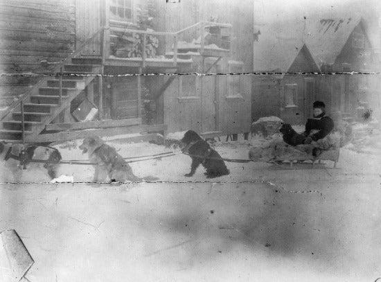 Dog team and sled, c1915