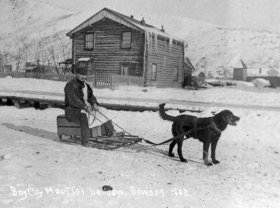 Bay City Meat Company's Delivery, 1902