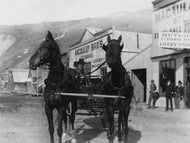 Team and Buggy in front of the Macaulay Brothers' Warehouse, Third Avenue, c1903