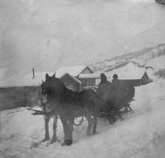 horse drawn sleigh, n.d.