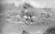 Garden, n.d.