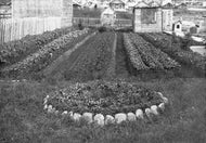 Greenhouse, 1905