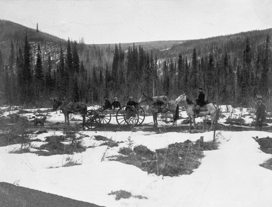 Horse Drawn Wagon, c1905