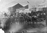 Pack Train Dawson Y.T. 1898