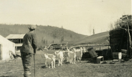 Man with Goats, c1933