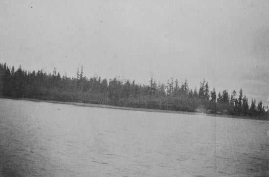 Yukon River North of Dawson, September 1899.