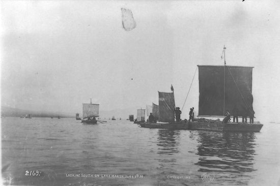 Looking South on Lake Marsh, June 6th 1898.
