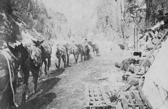 Pack Train in Canyon, 1898
