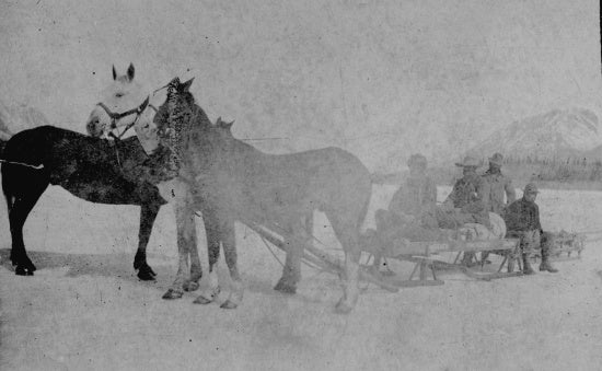 Moving Supplies from Caribou to Bennett, 1898.