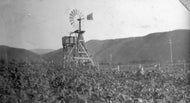 Market Garden, c1902