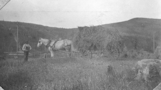 Working the Field, c1902