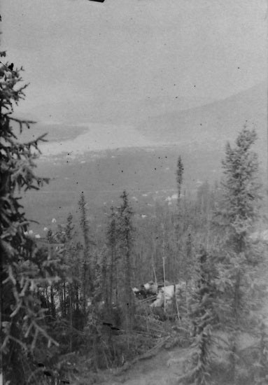 View of Dawson City, c1898