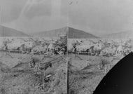 View of Dawson City, c1898