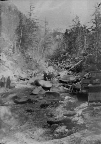 Freight and Goods Stacked on the White Pass Trail, March 1898