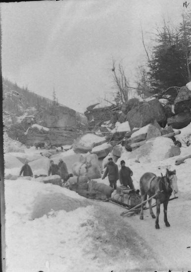 Hauling a Sled on the White Pass Trail, March 1898