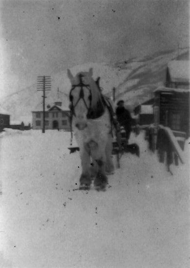 Horse Drawn Snow Plough, c1930