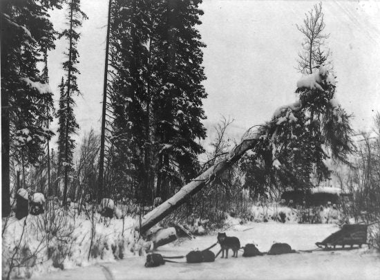 Goetzman's Dog Team and sled, c1905