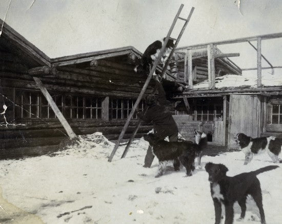 Climbing the Ladder, 1908.
