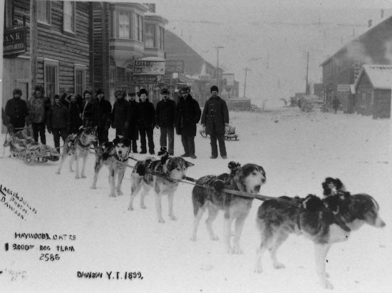 Haywood Cates $2000.00 Dog Team, 1899