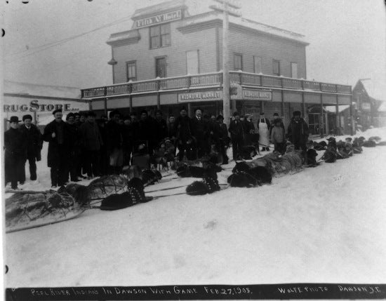 Peel River Indians in Dawson With Game, February 27, 1905