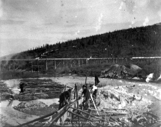 Cleaning Up Sluice Box's on 11A,  Above Lower Discover Dominion Creek, c1910