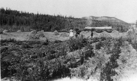 Hay Field, c1910