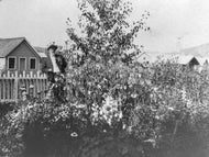 Mr. Hartman in his Garden, c1914