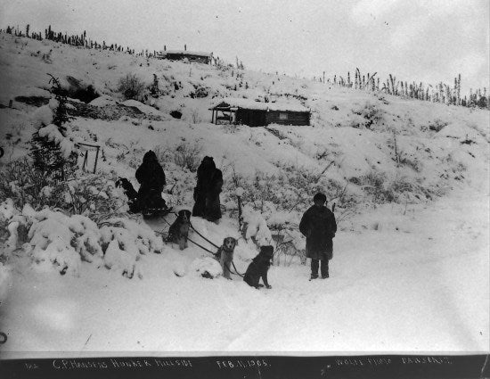 C.P. Hansens Hunker Hillside, February 11, 1905.