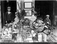 Vegetables Grown Near Dawson Land of Nightless Days, August 28, 1906.