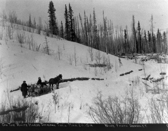 On the Whitehorse-Dawson Trail, March 26, 1914.