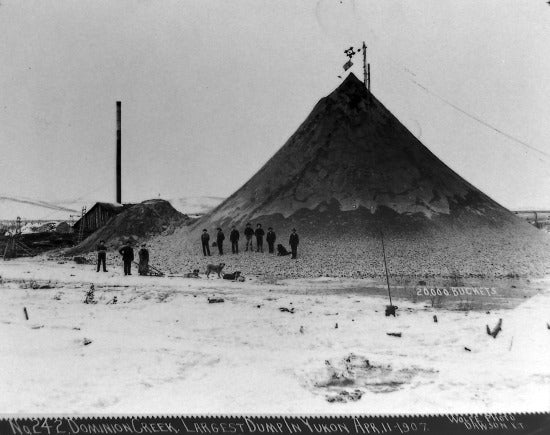 No. 242 Dominion Creek Largest Dump in Yukon, April 11, 1907