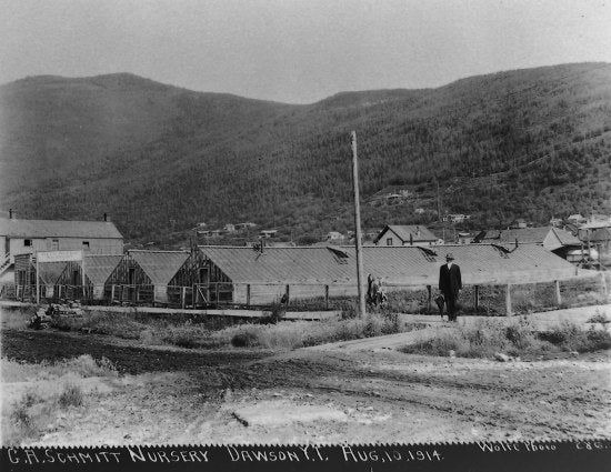 G. A. Schmitt Nursery, Dawson City, YT, August 10, 1914.