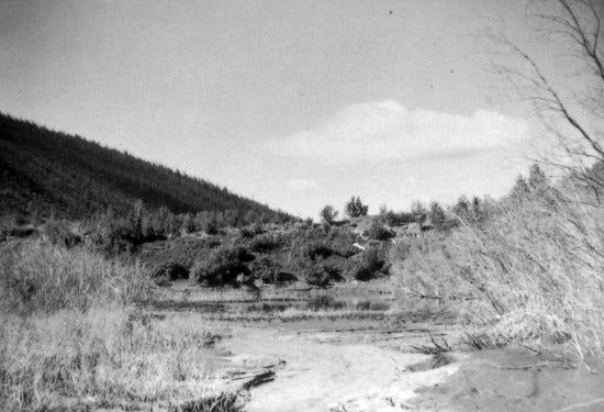 Upper Bonanza Creek Dam, c1959.