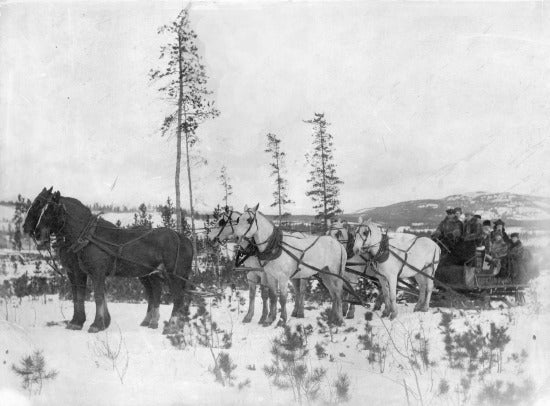 White Pass Stage, c1900.