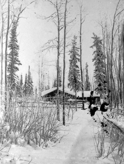 A Home In The Yukon A Scene On The Alaska Commercial Trail, c1910.