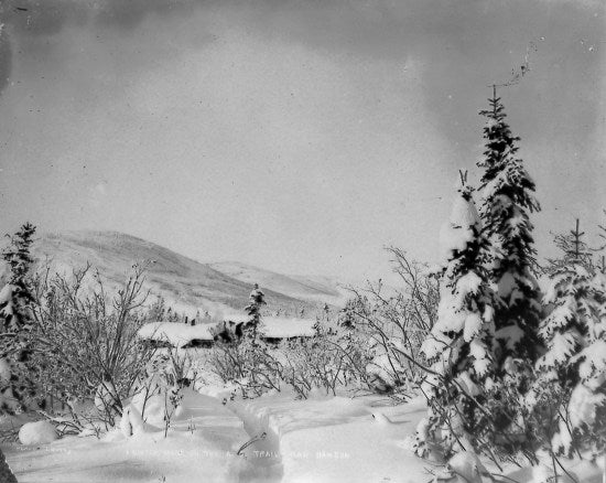 A Winter Scene On The Alaska Commercial Company Trail Near Dawson, c1910.