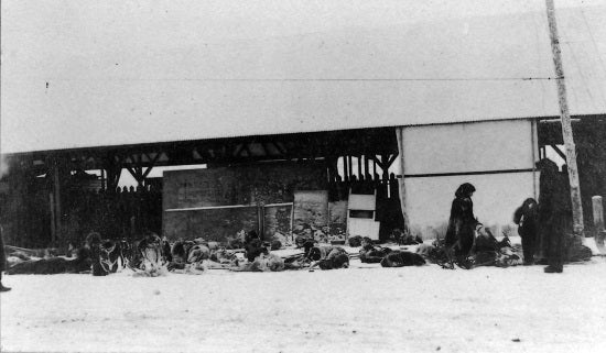 Examining the Load at Dawson City, c1909.