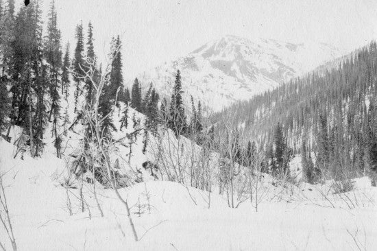 Winter Landscape, c1908.