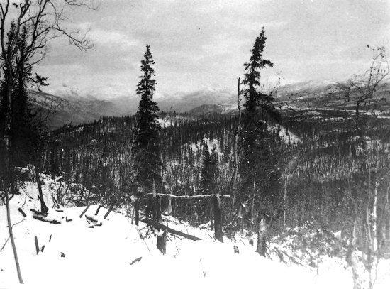 Yukon Ditch along 12-Mile River, c1910.