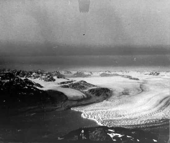 Glacier Entering Tidewater, c1900.