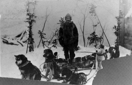 Man and his dog sled team, c1898