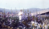 Martha Black, c1945.