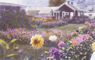 Flower Garden, n.d.