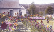Blanchard Garden, Skagway, Alaska
