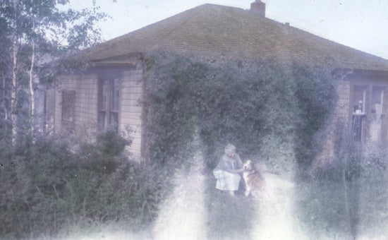 Vine Covered Cottage, n.d.