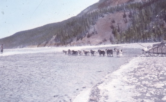 Travelling by Dog Sled, n.d.
